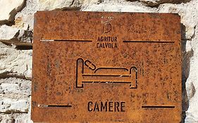 Agritur Calvola Tenno